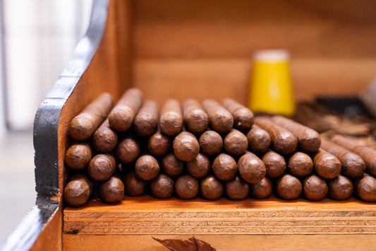 Paul Signature Cigar